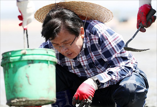 황교안 자유한국당 대표가 21일 오전 인천 중구 무의도의 한 갯벌에서 바지락을 채취하고 있다. ⓒ데일리안