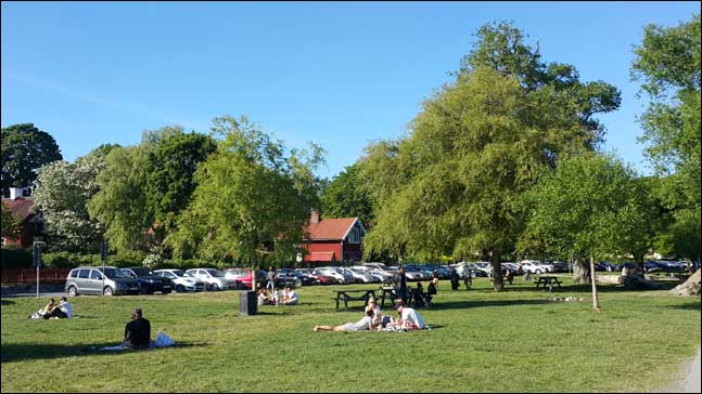 스톡홀름 인근 시그투나라는 오래된 마을의 호숫가 공원. 가족이 함께 나와 불밭에서 태양을 만끽하고 있다.ⓒ