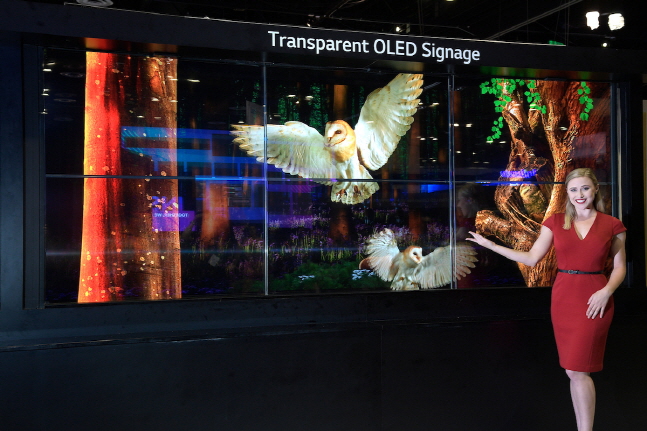 LG전자 모델이 미국 올랜도에서 열린 상업용 디스플레이 전시회 ‘인포콤 2019'에서 '투명 올레드 사이니지'를 소개하고 있다.ⓒLG전자