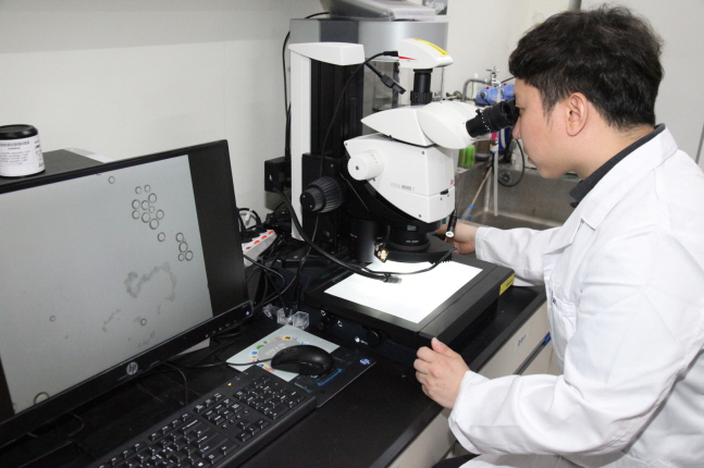 연구를 주도한 박찬우 박사가 미세수중로봇을 현미경으로 확인하고 있다.ⓒ한국원자력연구원