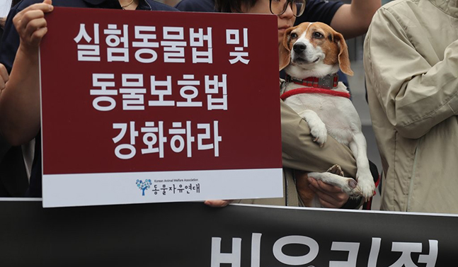 서울대학교 동물병원 앞에서 열린 비윤리적 사역견 동물실험 규탄기자회견. ⓒ연합뉴스
