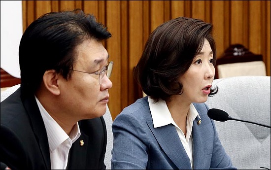 나경원 자유한국당 원내대표와 정용기 정책위의장(자료사진). ⓒ데일리안 박항구 기자