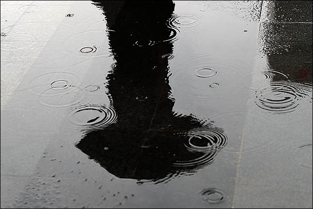 수도권 지역에 아침부터 많은 비가 내린 31일 오후 서울 종로구에 우산을 쓴 시민이 지나가는 모습이 물웅덩이에 비치고 있다. ⓒ데일리안 류영주 기자