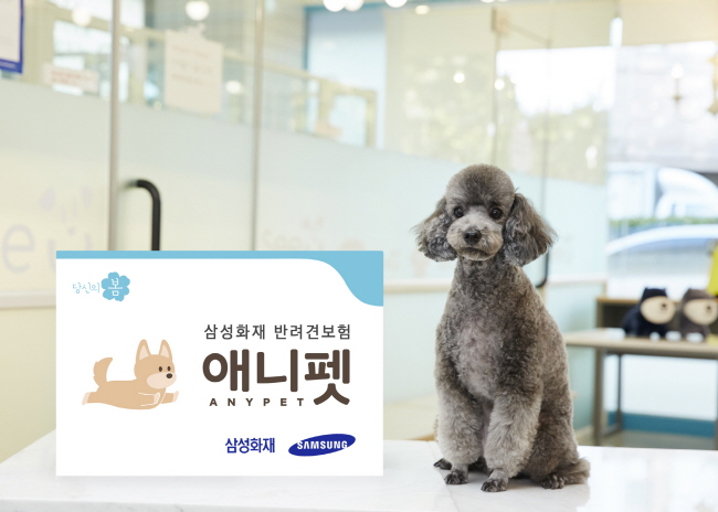 서울시는 지난 3월부터 서울시 동물보호센터에서 유기견을 입양하는 모든 시민에게 삼성화재 '반려견보험 애니펫' 가입을 지원하고 있다.ⓒ삼성화재 