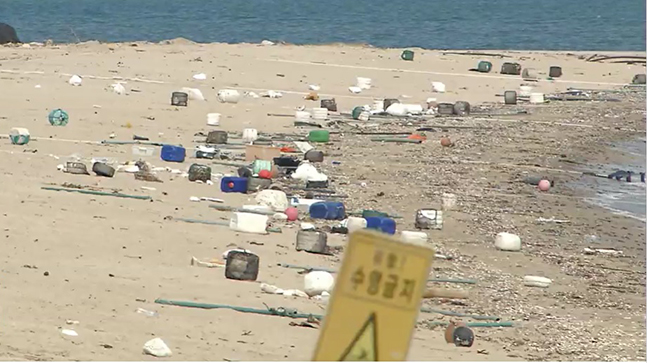 국제 연안정화의 날’ 행사의 효과를 위해 진도군청이 가계해변에 전날 공수해 뿌려놓은 해양쓰레기 ⓒMBC뉴스 화면 캡쳐