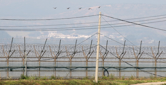 경기도 비무장지대(DMZ) 모습.(사진은 기사와 무관함) ⓒ뉴시스