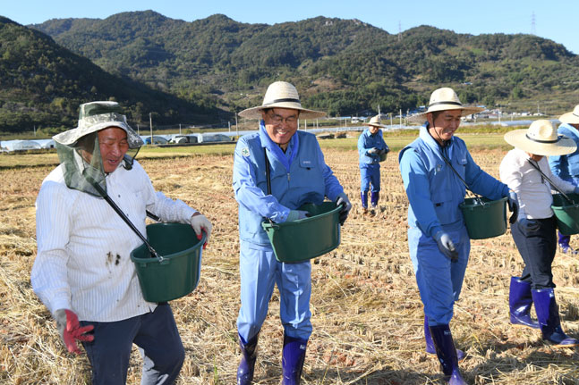 포스코 최정우 회장(가운데)이 직원들과 함께 30일 전남 광양시 진월면에서 ‘규산질 슬래그 비료 뿌리기 봉사활동’을 하고 있다. ⓒ포스코