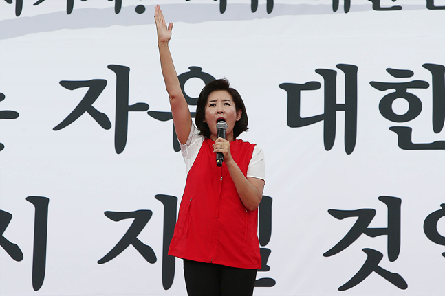 나경원 자유한국당 원내대표가 지난 10·3 개천절 집회에서 연설을 하고 있다. ⓒ데일리안 홍금표 기자