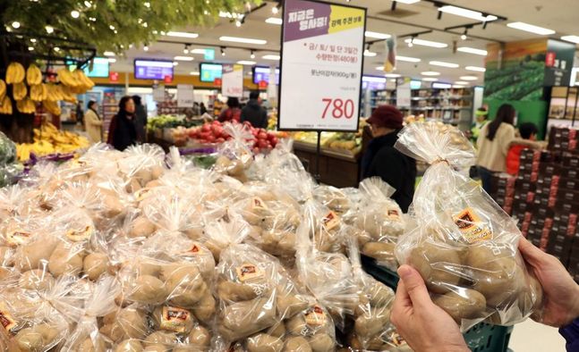 강원도 '못난이 감자'가 전국 이마트 매장에서 판매됐다. ⓒ연합뉴스