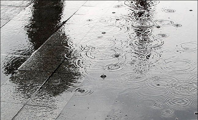 수도권 지역에 아침부터 많은 비가 내린 31일 오후 서울 종로구에 우산을 쓴 시민이 지나가는 모습이 물웅덩이에 비치고 있다.ⓒ데일리안