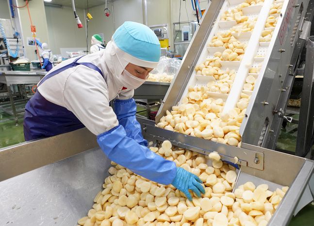 신세계푸드 이천공장에서 직원들이 급식사업장에 제공될 감자를 작업하고 있다. ⓒ신세계푸드