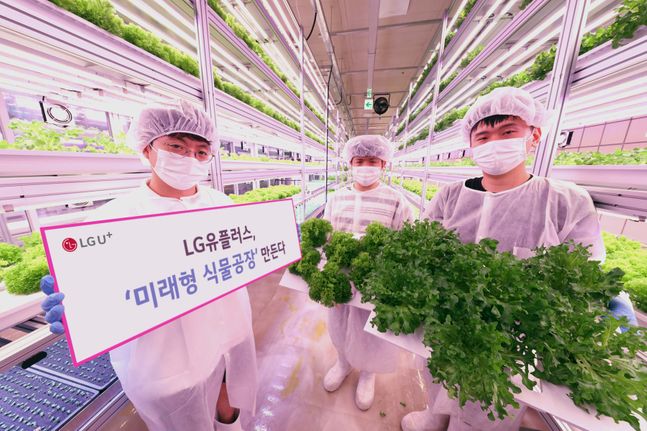 LG유플러스가 LG CNS, 국내 식물공장 관련 기업인 팜에이트와 IT를 이용해 소비자에게 안심 먹거리를 제공할 수 있는 스마트팜 사업을 추진한다고 21일 밝혔다. 사진은 서울 지하철 상도역 내에 있는 스마트팜의 모습.ⓒLG유플러스