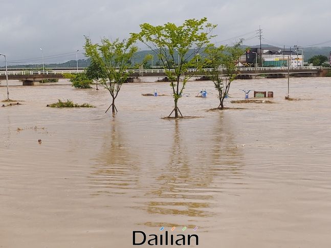 밤새 내린 폭우로 경기도 안성시 청미천 일대가 범람 수준으로 물이 불어났다. ⓒ엄태수 사진작가