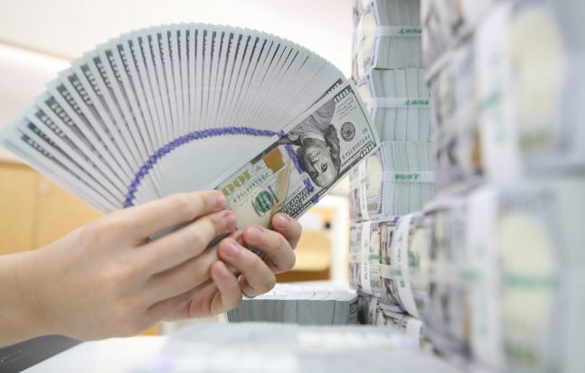 서울 중구 하나은행에서 직원이 달러화를 확인하고 있다.(자료사진)ⓒ뉴시스