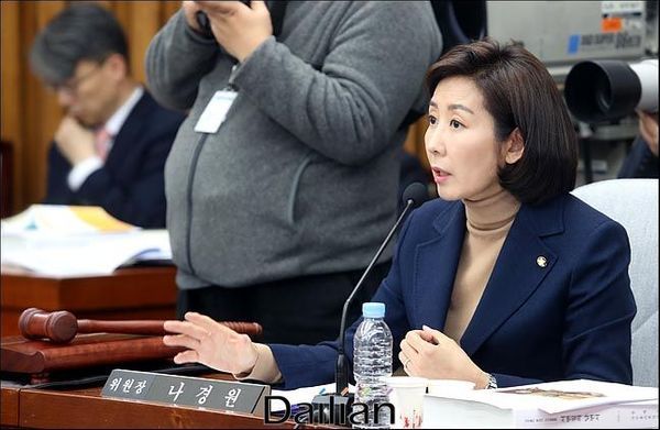 나경원 전 국민의힘 의원(자료사진) ⓒ데일리안 박항구 기자