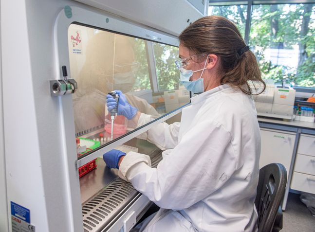 코로나19 백신 후보 물질을 다루고 있는 영국 옥스퍼드대 연구진의 모습(자료사진) ⓒAP/뉴시스