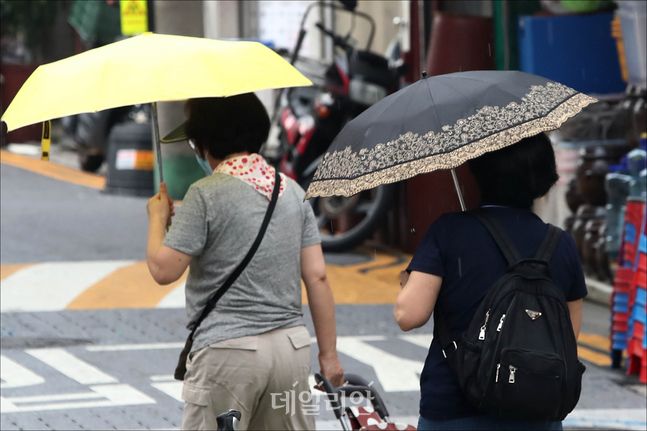 전국적 대부분 지역에 폭염이 계속되고 있는 가운데 7월 29일 오후 서울 성북구에 더위를 식히는 소나기가 내리고 있다.ⓒ데일리안 홍금표 기자