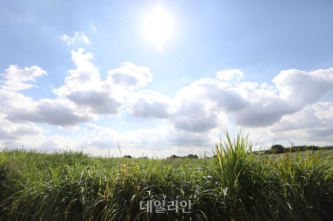 지난 8일 오후 서울 마포구 상암 하늘공원이 맑은 초가을 날씨를 보이고 있다. ⓒ데일리안 류영주 기자