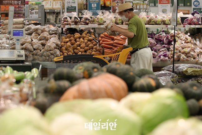 농축수산물 가격이 연일 치솟고 있는 가운데 서울 시내의 한 대형마트에 시민이 장을 보고 있다. ⓒ데일리안 류영주 기자