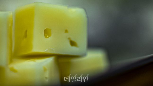 치즈 중 가장 대중적으로 알려진 고다치즈. 한국형 자연치즈에서는 조선간장으로 염지를 해 짠맛을 줄였다. ⓒ배군득 기자