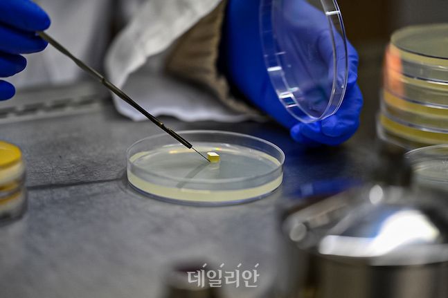 농촌진흥청 국립원예특작과학원에서는 설한과 세사 이외에도 버섯에 대한 연구가 끊임 없이 이어지고 있다. ⓒ배군득 기자