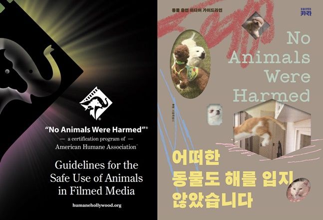 미국인도주의협회가 발표한 동물 촬영 가이드라인, 동물보호단체 카라가 발표한 동물 출연 미디어 가이드라인ⓒAHA, 카라