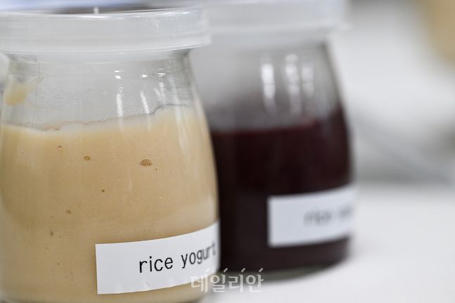 쌀요구르트의 베이스가 되는 쌀 유산 발효물. ⓒ배군득 기자