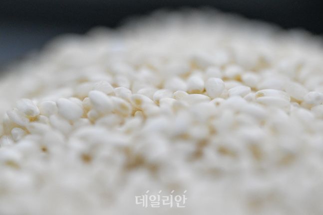 도담쌀은 일반 투명한 쌀에 비해 찹쌀처럼 순백색을 띄고 있다. 일반 사람이 보면 찹쌀과 구분이 어려울 정도다. 도담쌀이 성인병 예방을 넘어 다양한 신사업의 자양분이 되길 기대한다. ⓒ배군득 기자