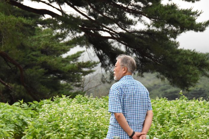 문재인 대통령이 경남 양산 평산마을 사저 인근 메밀밭을 바라보고 있다. ⓒ인스타그램