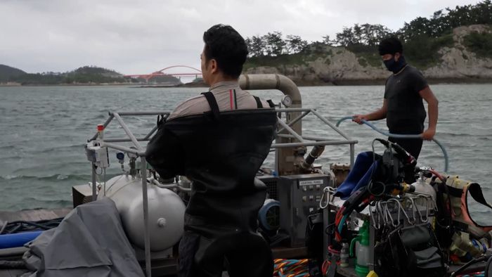 전북 군산 고군산도 인근 해역에서 수중 발굴 작업을 위해 한 조사원이 잠수복을 입고 있는 모습 ⓒ데일리안