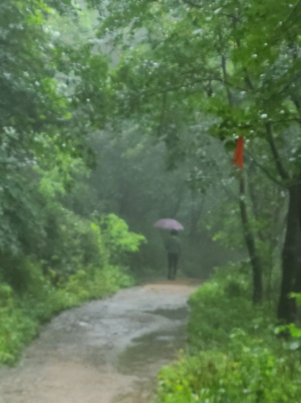 비가 오는 가운데 우산을 쓰고 산책하는 모습ⓒ