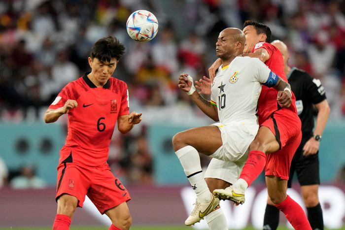 카타르 월드컵에서 한국과 대결을 펼쳤던 아이유. ⓒ AP=뉴시스