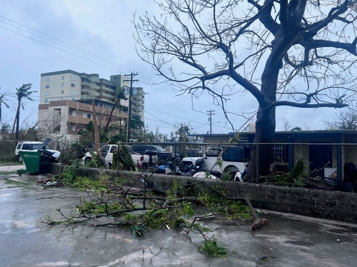 괌을 강타한 태풍 마와르로 부러진 나뭇가지들이 널브러져 있는 모습.ⓒ뉴시스