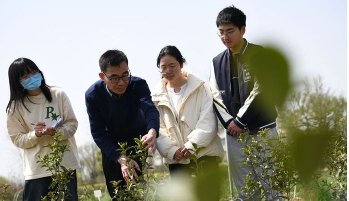 농촌 현장 실습을 나간 중국 안후이농대의 한 교수가 지난 3월 농작물을 살펴보며 학생들에게 설명하고 있다. ⓒ 신화/연합뉴스
