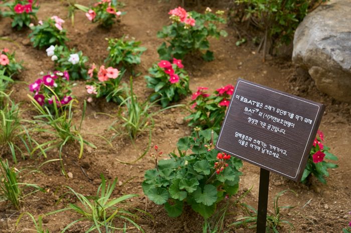 지난 9일 BAT로스만스 임직원들이 서울 중구의 골목길에 ‘꽃밭(꽃BAT)’을 조성했다.ⓒBAT로스만스