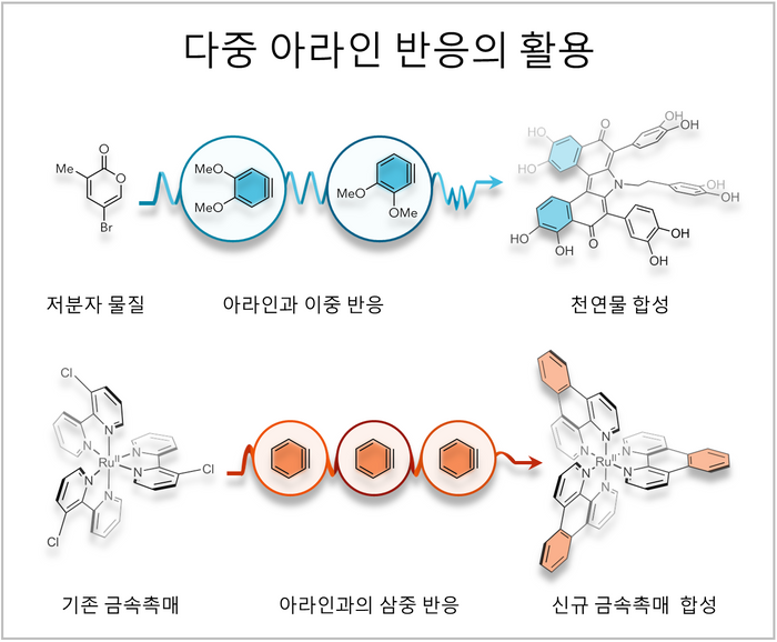 아주대 서성은 교수 등 한·미 공동연구팀, '아라인' 총정리 리뷰논문 발표