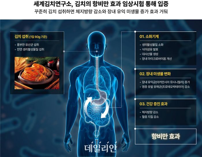 3개월동안 김치 꾸준히 섭취하자 체지방 2.6% 감소