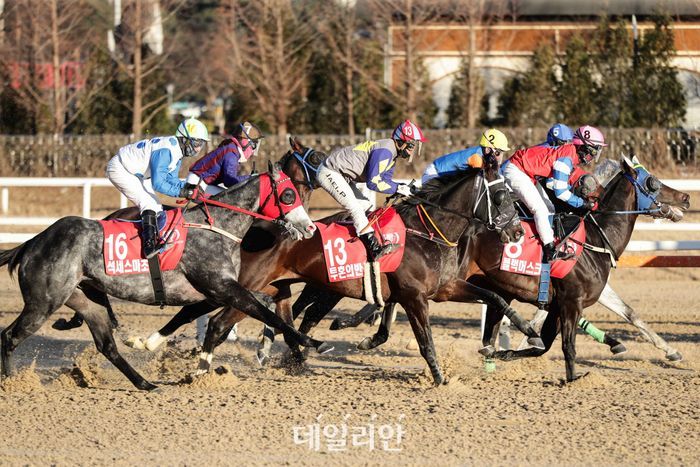 마사회, 내달 서울서 110회, 부경서 70회 경주 개최