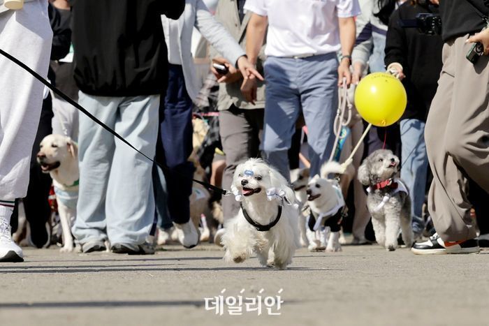 [단독]첫 해부터 부정·편법 횡행…반려동물행동지도사 국가자격증 ‘망신’