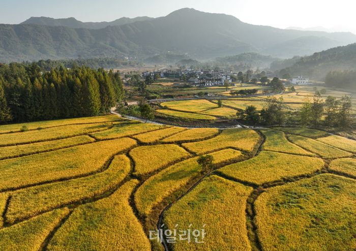 그린바이오 산업 경제적 효과 분석 미흡…“농산물 수요 특성 등 반영한 전략 필요”