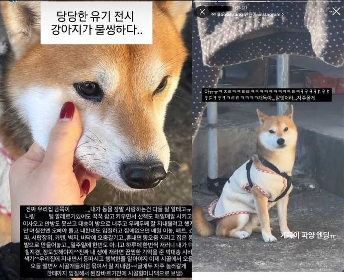 “모델 부모 인성까지 봐야 하나요”…엉뚱하게 튀는 네티즌들의 분노 [D:이슈]