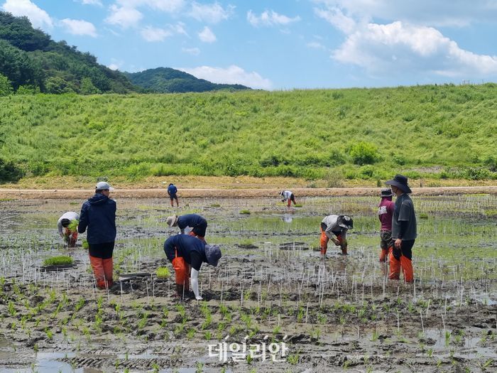 청년농업인 역귀농 막아야…“현실적 어려움 고려한 지원 확충돼야”