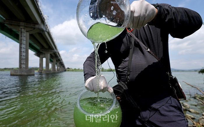 녹조가 공기 중 전파? 사실이면 환경부 연구 신뢰 ‘치명상’