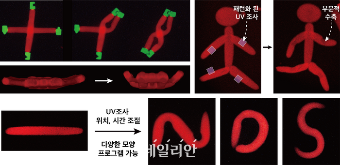 GIST, 빛 이용해 재구성이 가능한 마이크로 수화젤 개발