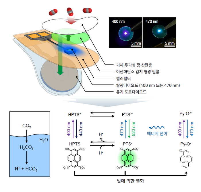 ‘수면 무호흡증인가?’…KAIST, 실시간 확인 가능한 웨어러블 CO2 센서 개발