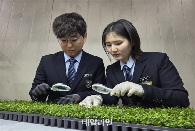 검역본부, 3월 한 달간 수입 묘목류 특벌검역 실시