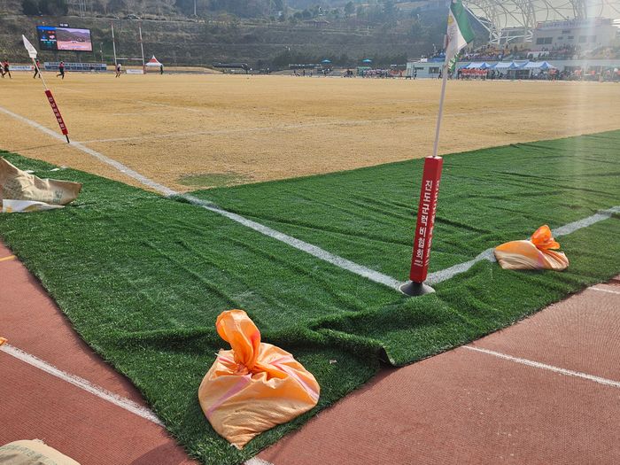 축구 이어 럭비도 잔디 논란…왜 진도까지 갔나