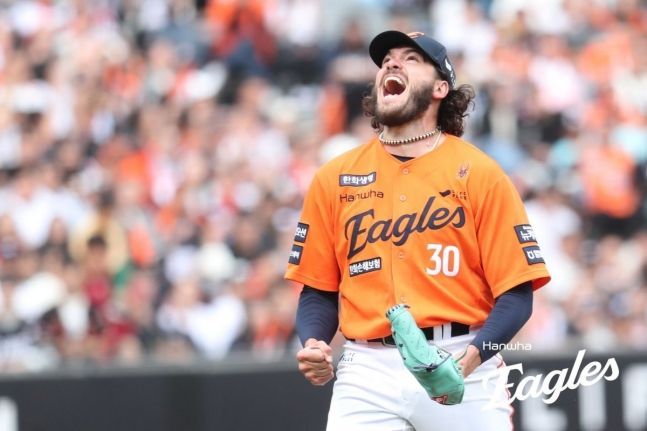 데일리안 기사 내 사진