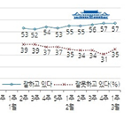 국민 절반 "안철수 행보 새정치 아니다"