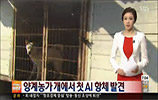 개 AI 발견, 국내 첫 사례…혹시 사람도?